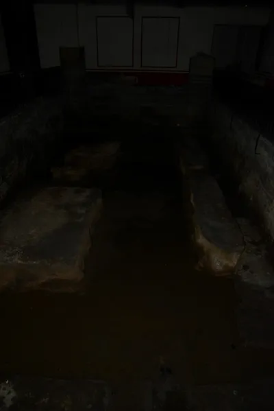 DSC_2654 (Large).JPG